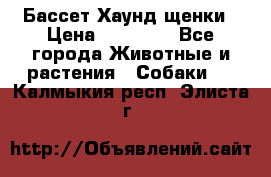 Бассет Хаунд щенки › Цена ­ 20 000 - Все города Животные и растения » Собаки   . Калмыкия респ.,Элиста г.